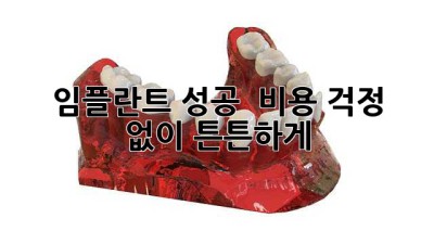 임플란트 성공 ✨ 비용 걱정 없이 튼튼하게!
